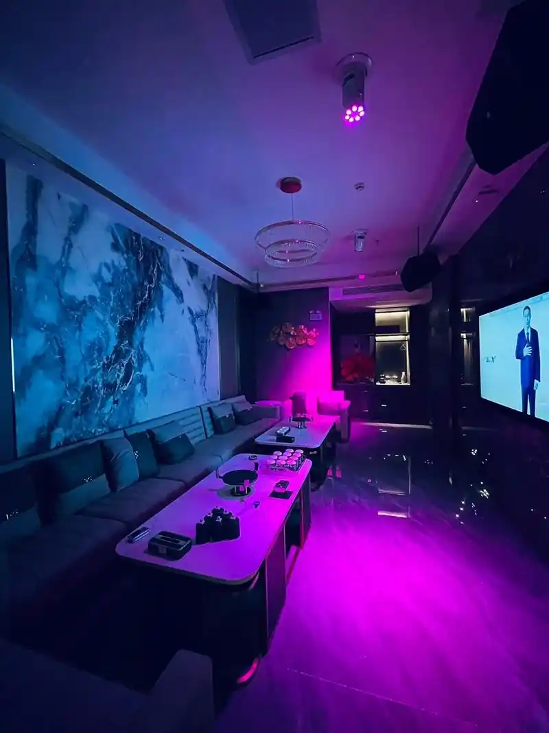 衡阳商务ktv商务ktv能否组局解析-衡东县ktv预订